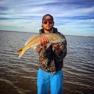 Meet your Posher, Nicholas